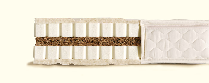 Eco Plus